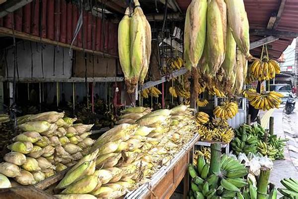 E-commerce Lokal Asal Tangerang Jadi Primadona Baru