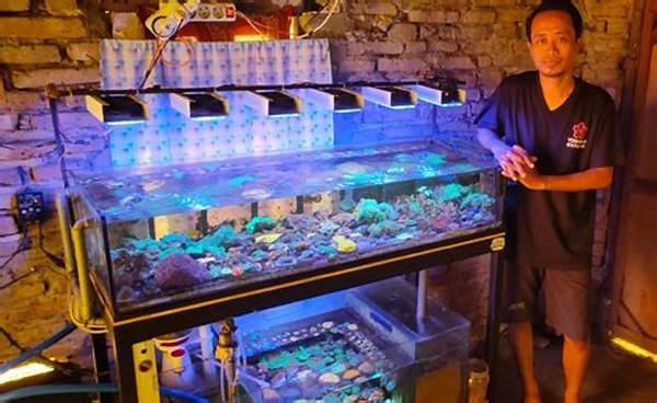 Hobi Aquascape Jadi Gaya Hidup Baru Warga Tangerang